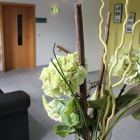 Lindenhof Hotel Thiendorf Buitenkant foto