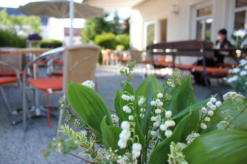 Lindenhof Hotel Thiendorf Buitenkant foto